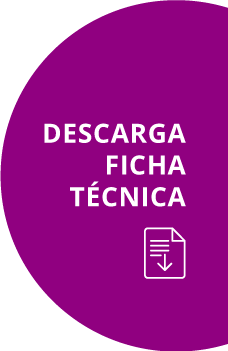 Bot&oacute;n descarga