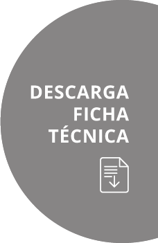 Bot&oacute;n descarga