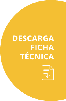 Bot&oacute;n descarga