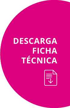 Bot&oacute;n descarga