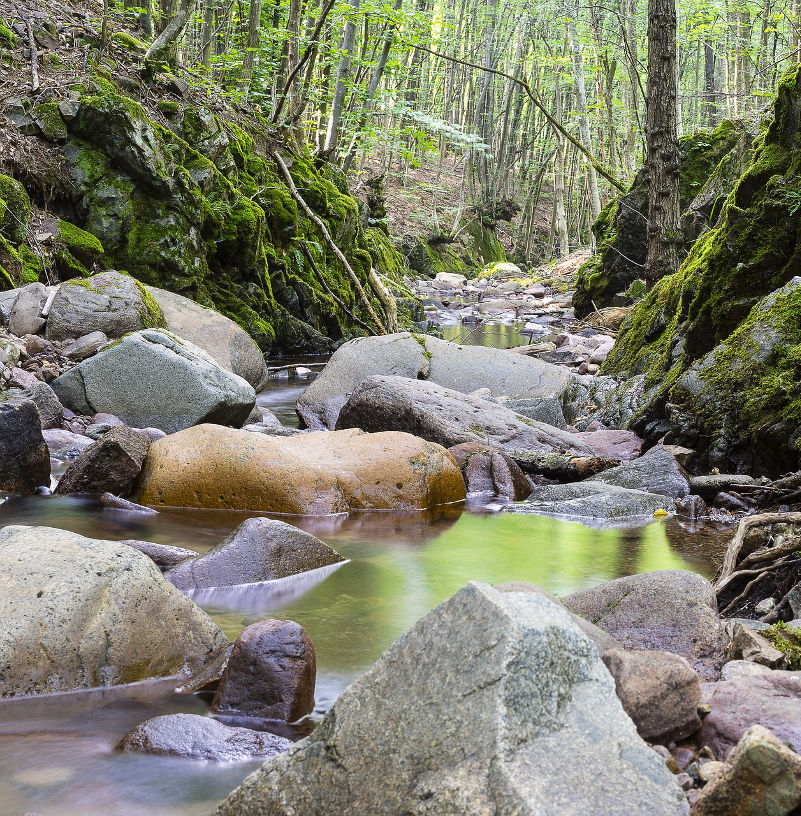 Medio ambiente 3